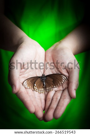 Dead butterfly in lady hand, love nature, save the world, protection and preservation environmental , green earth concept