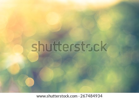 Defocused Bokeh, twinkling lights vintage blurred bokeh abstract light spring forest background. Natural bokeh from leaf tree. Blur picture style.