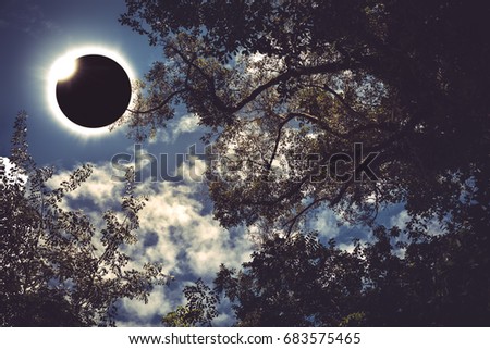 Amazing scientific natural phenomenon. Prominence and internal sun\'s corona. Total solar eclipse with diamond ring effect glowing on blue sky above silhouette of trees, serenity nature background.
