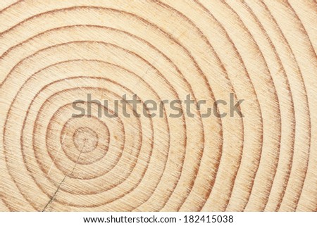 Age circles in a cross section of a timber beam when cross cut