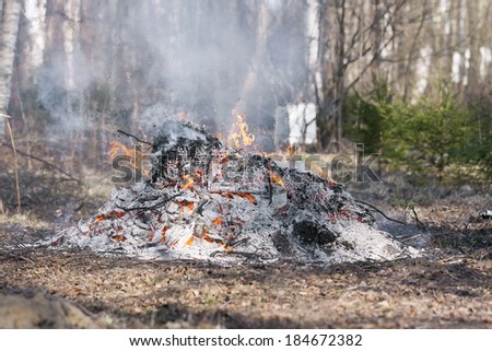 Smoking bonfire with small flames in forest at spring