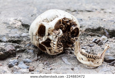 Human skull, separated jaw, lean on old crack cement street