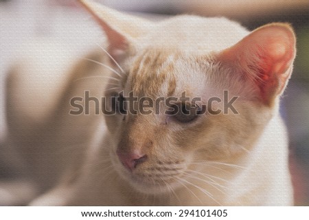 Adorable laying down cat with artificial texture