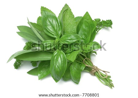 Mixed Herbs, basil, sage, parsley and mint, tied in a bunch with twine, isolated on white