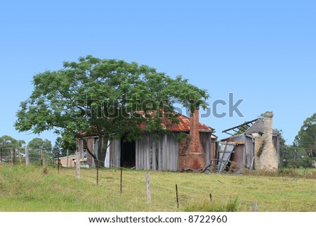 Old country building with Jacaranda tree.