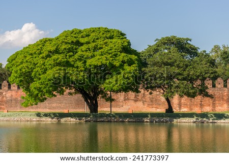 Trees in front of  the palace walls of Mandalay Palace