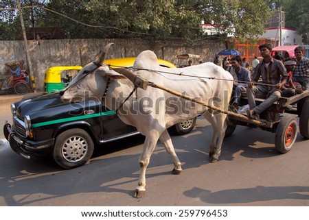 DELHI, INDIA - NOVEMBER 5: Unidentified people ride in bullock cart on November 5, 2014 in Delhi, India. As modern vehicles are too expensive bullock carts are still in use in Delhi.