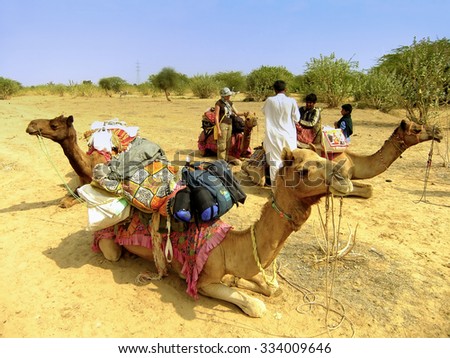 JAISALMER, INDIA-FEBRUARY 18: Unidentified people stand near camels during safari on February 18, 2011 in Jaisalmer, India. Camel safaris in That desert are very popular among tourists from Jaisalmer.
