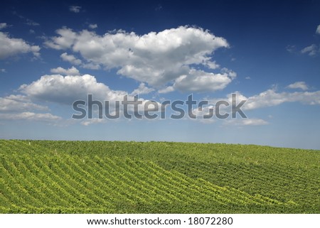 Valley of vineyards in Germany, Franconia