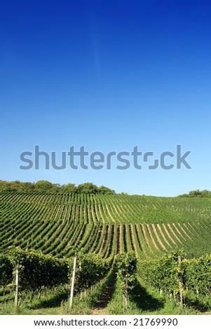 Valley of vineyards in Germany, Franconia