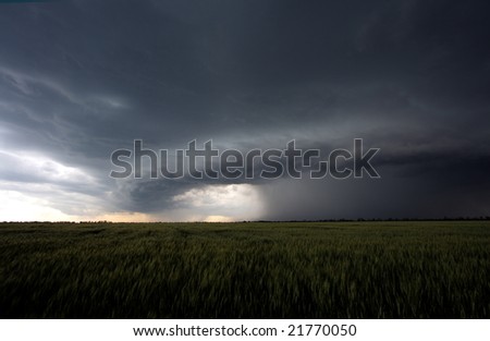 The beginning of summer hurricane over a green field