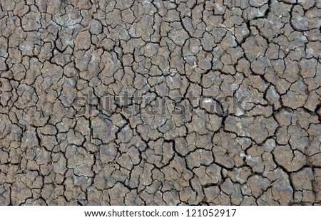 Dry mud from a dry area