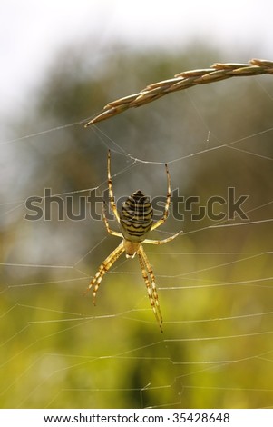 sitting upside down