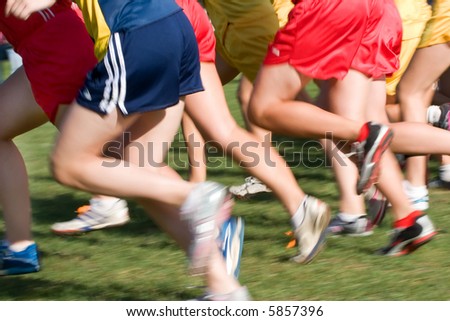 The start of a cross country running event