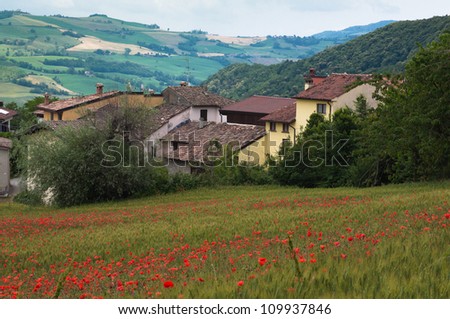 Poppy field, mountains, houses in the village