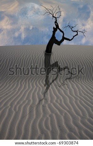 High Resolution 3D Illustration Desert Scene