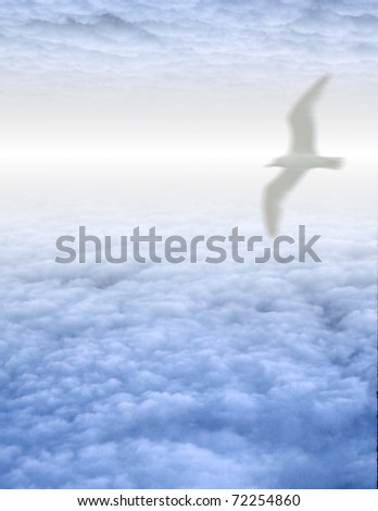 Bird In Clouds