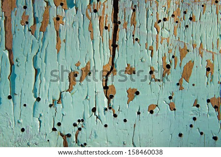 wooden panel with cracked paint and bug holes