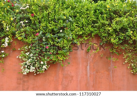 Flowers and green plant on retro concrete wall