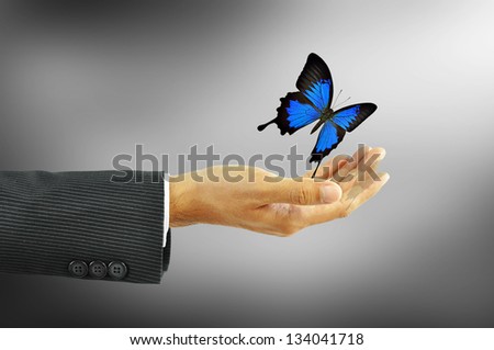 Businessman hand releases blue butterfly - business abstract