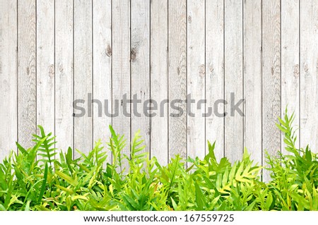 Green fern leaves on light wood background - border design