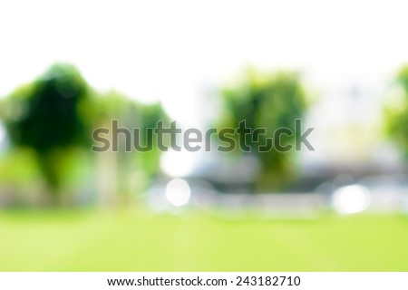 Abstract blur green  background from lawn & trees in the garden