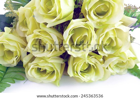 Green rose bouquet on white background - retro style lighting effect
