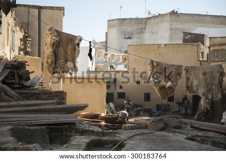 TETOUAN, MOROCCO - January 5, 2013: The Tanneries. The traditional methods of processing cattle hides, which are soaked in pools containing tannin, then washed and dried, to get the leather.