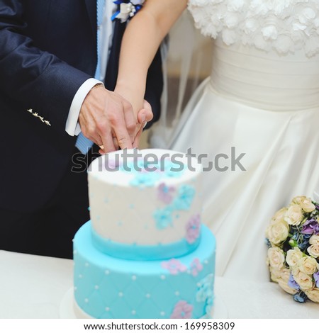Bride and groom cutting wedding cake together