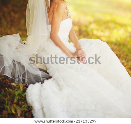 Beautiful caucasian bride in white dress. Long veil.