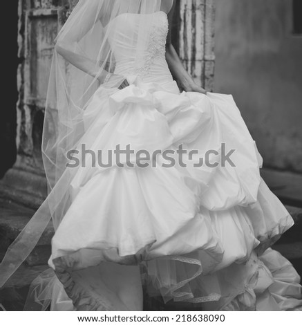 Beautiful white dress. Long veil