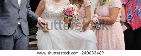 bride with bridesmaids and groomsmen