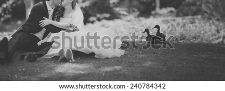 Happy newlywed couple in park, ducks passing by.