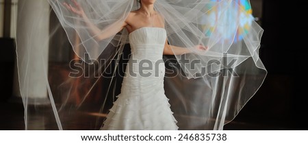 Beautiful bride with long veil.