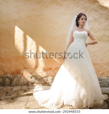 Bride wearing gorgeous wedding dress, posing against old building wall