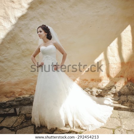 Bride wearing gorgeous wedding dress, posing against old building wall