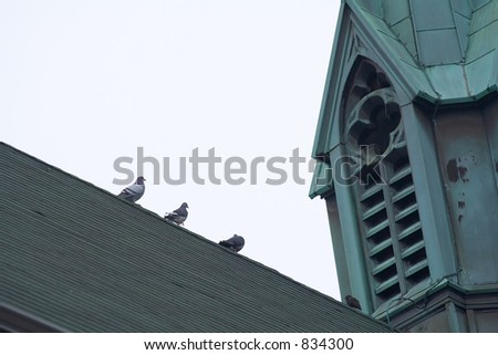 Pigeons strut along the apex of a church roof.