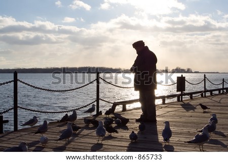 An old man, silhouetted by the sun shining off Lake Ontario, feeds sea birds down by the docks.