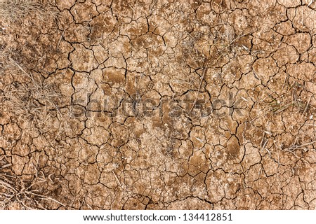 Dry ground and dry grass in hot summer time