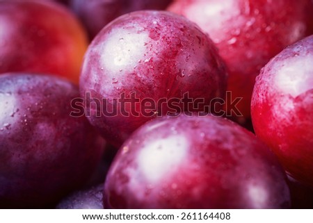 Macro of fresh red grapes with water drops