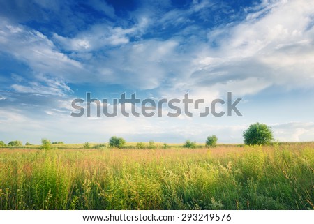 Landscape of countryside with green grass and clouds