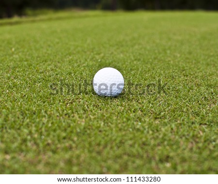 Golf ball on tee box