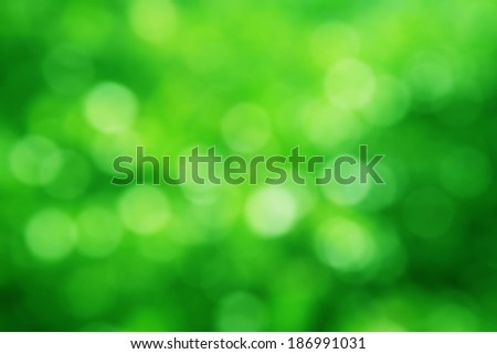 Natural green blurred background, Defocused green abstract background.