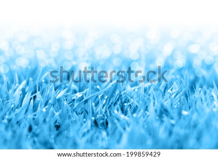 Natural grass blue filtered bokeh blurred background.