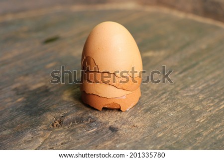 Eggs shells
