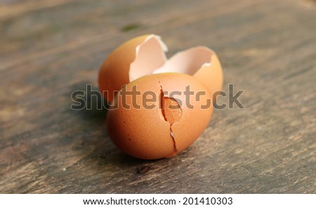 Eggs shell.