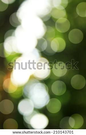 Natural green blurred bokeh background. Defocused green abstract background.