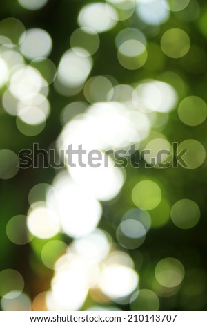 Natural green blurred bokeh background. Defocused green abstract background.