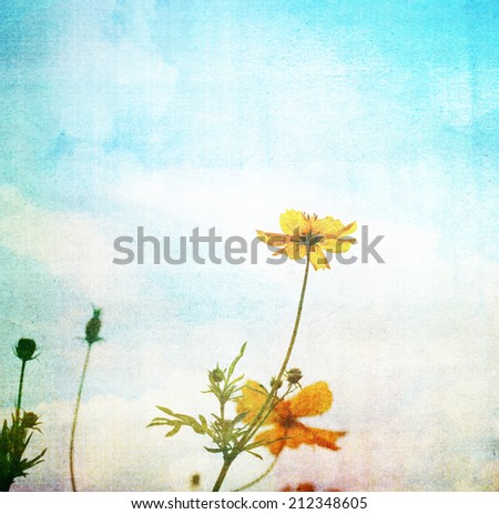 Grunge image of flower with filtered image. Vintage background.