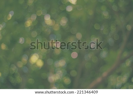 Natural green blurred in the dark background. Defocused green abstract  background.